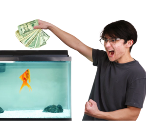 Michael Reeves goldfish: het complete verhaal